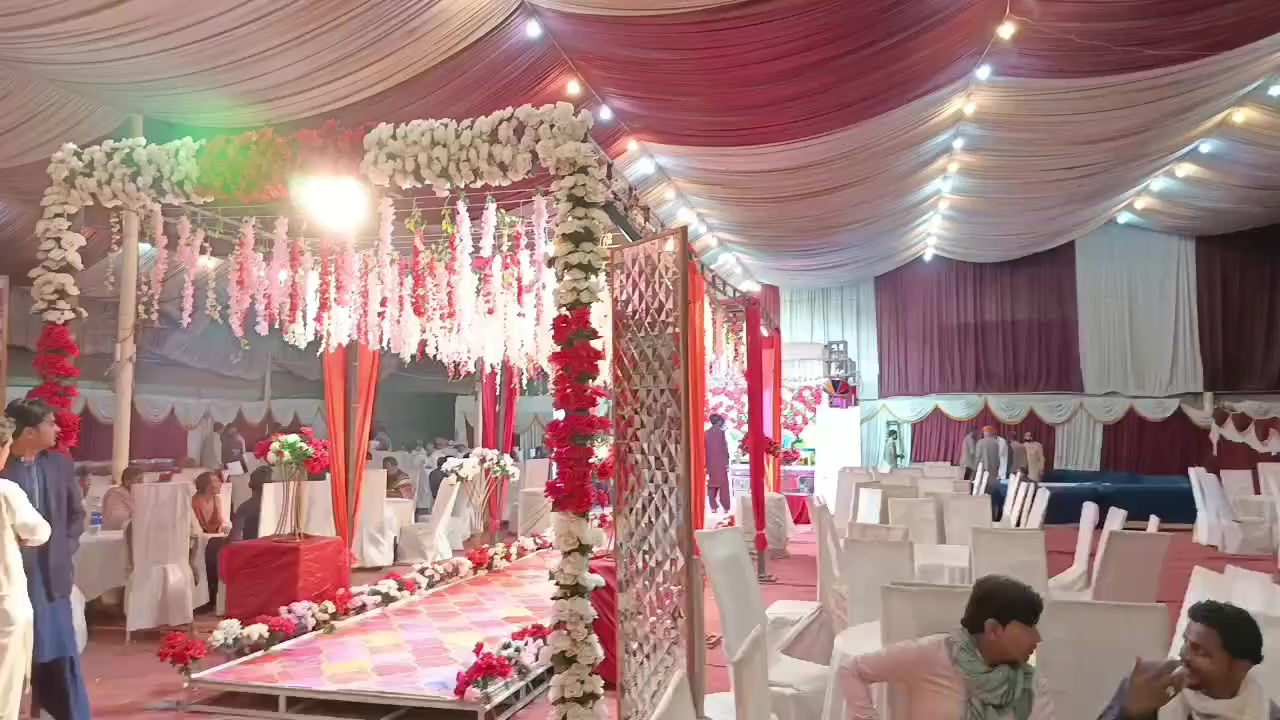 @singhania 👑🕊️