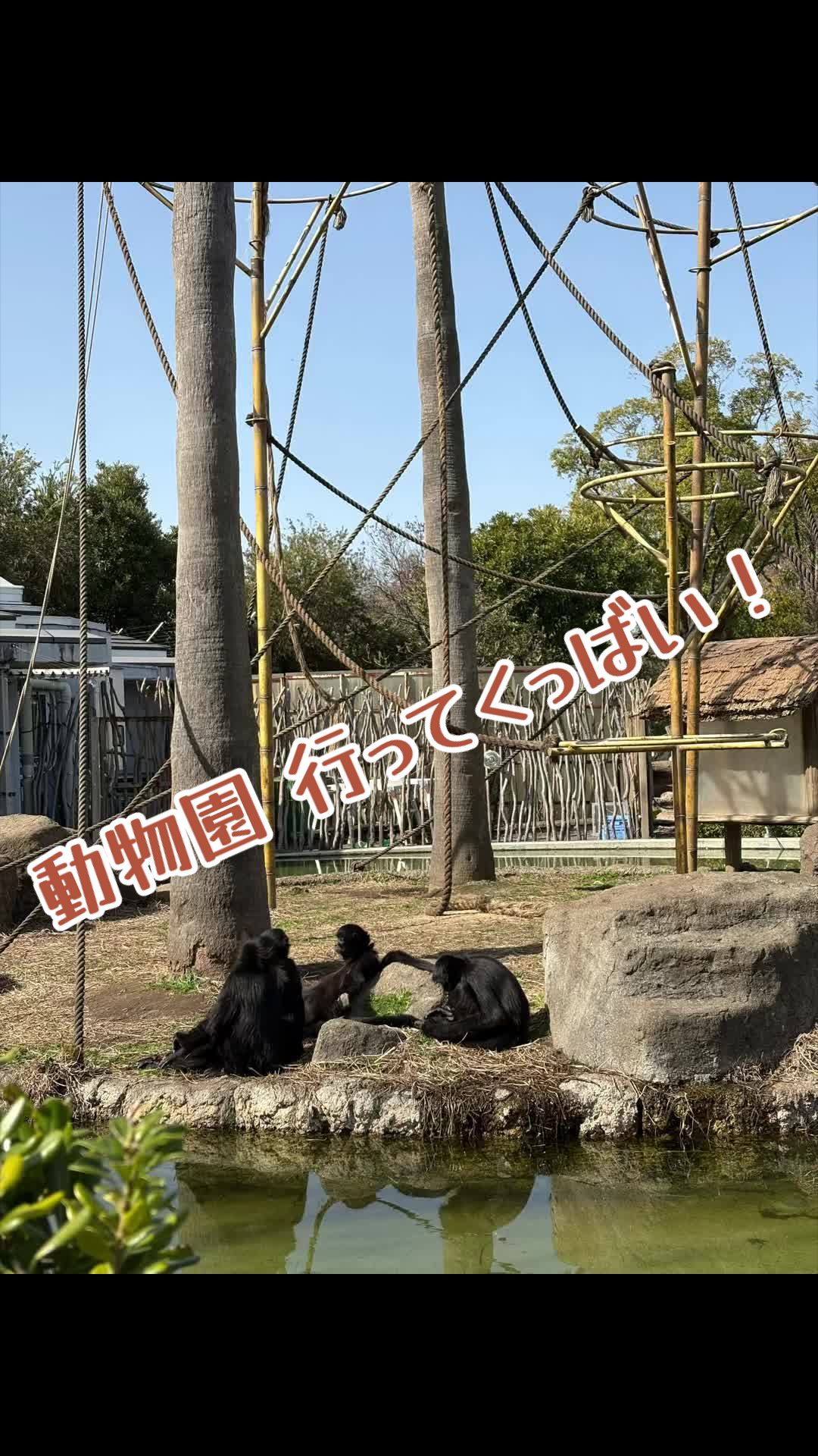@ǤᗩᗷᗩᒎI🇯🇵 ᗰᗩᑎƳ ᕼᗝᗷᗷIᗴᔕ 🥃🐈🐾