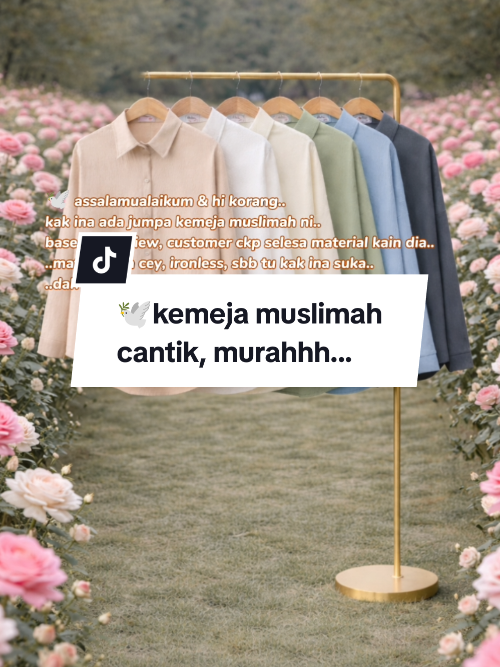 @Arissa Daniel_Novelist📚