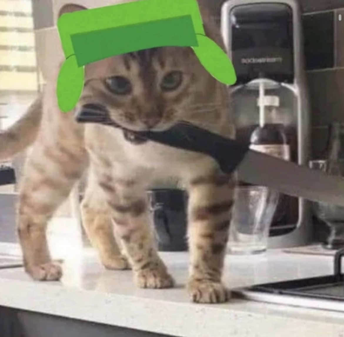 @♫⋆｡♪ ₊˚♬ ﾟ