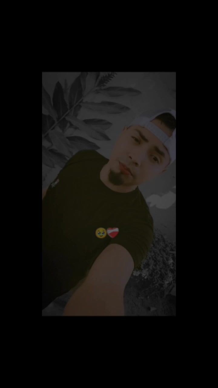 @Pollito 🐣 504
