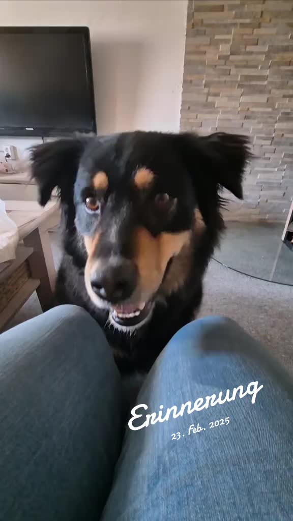 @Claire_Hund