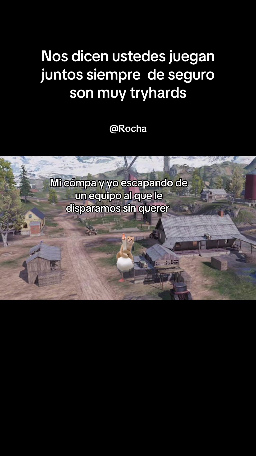 @ROCHA