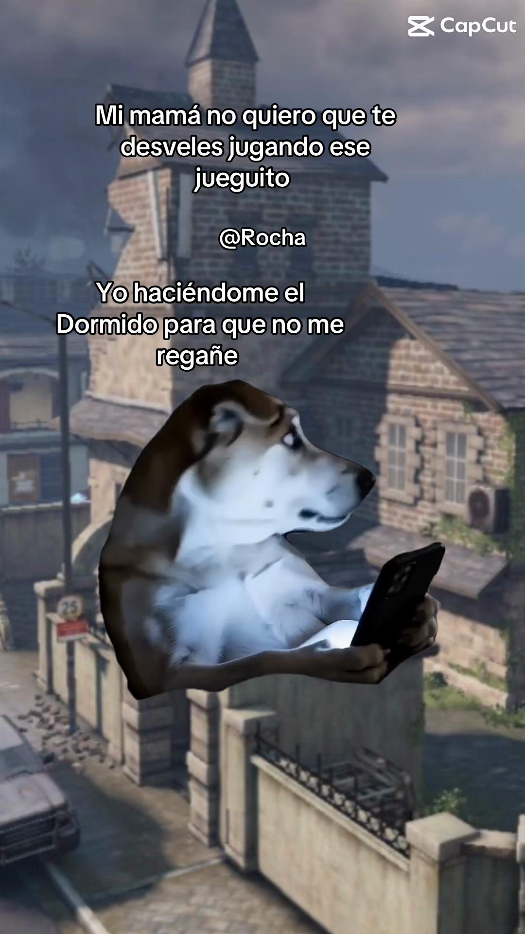 @ROCHA