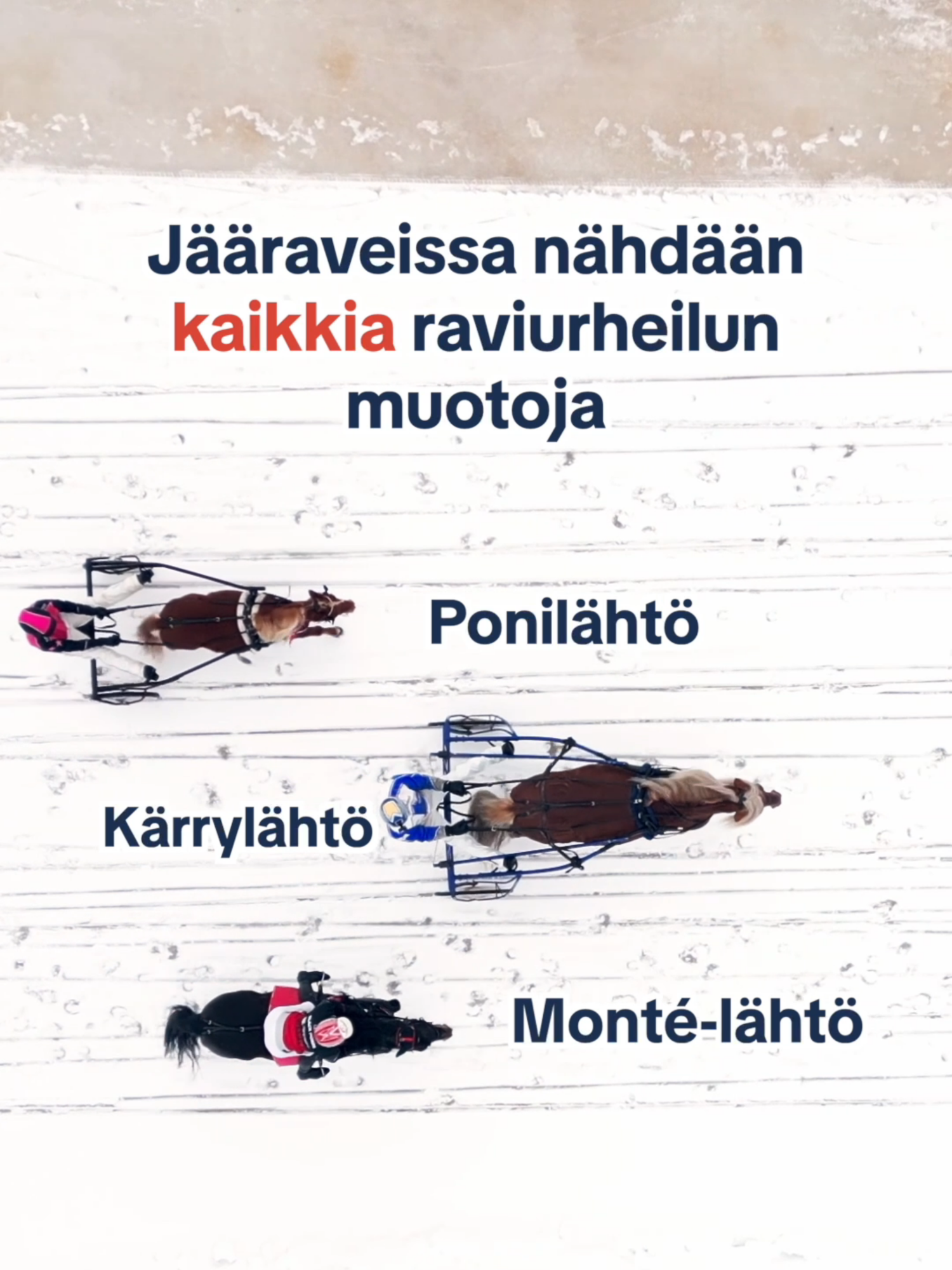 @Suomen Hippos ry