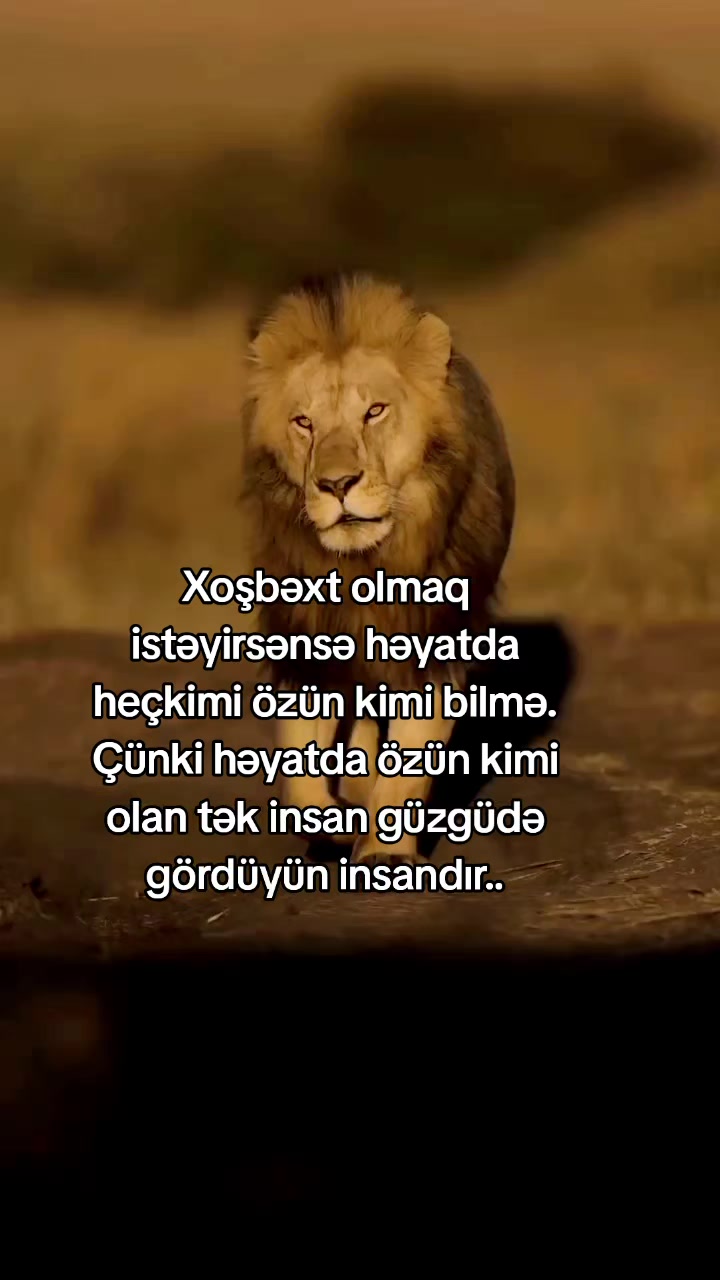 @Rəşad_Rəhimov