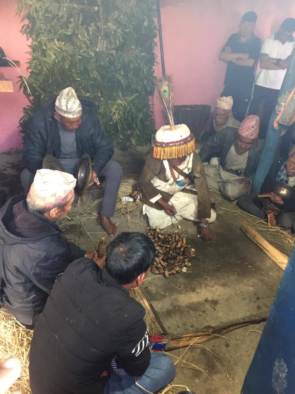 @Raju Hajipacha