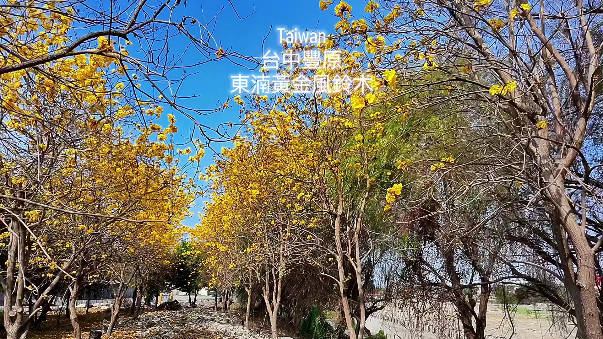 @ken殺