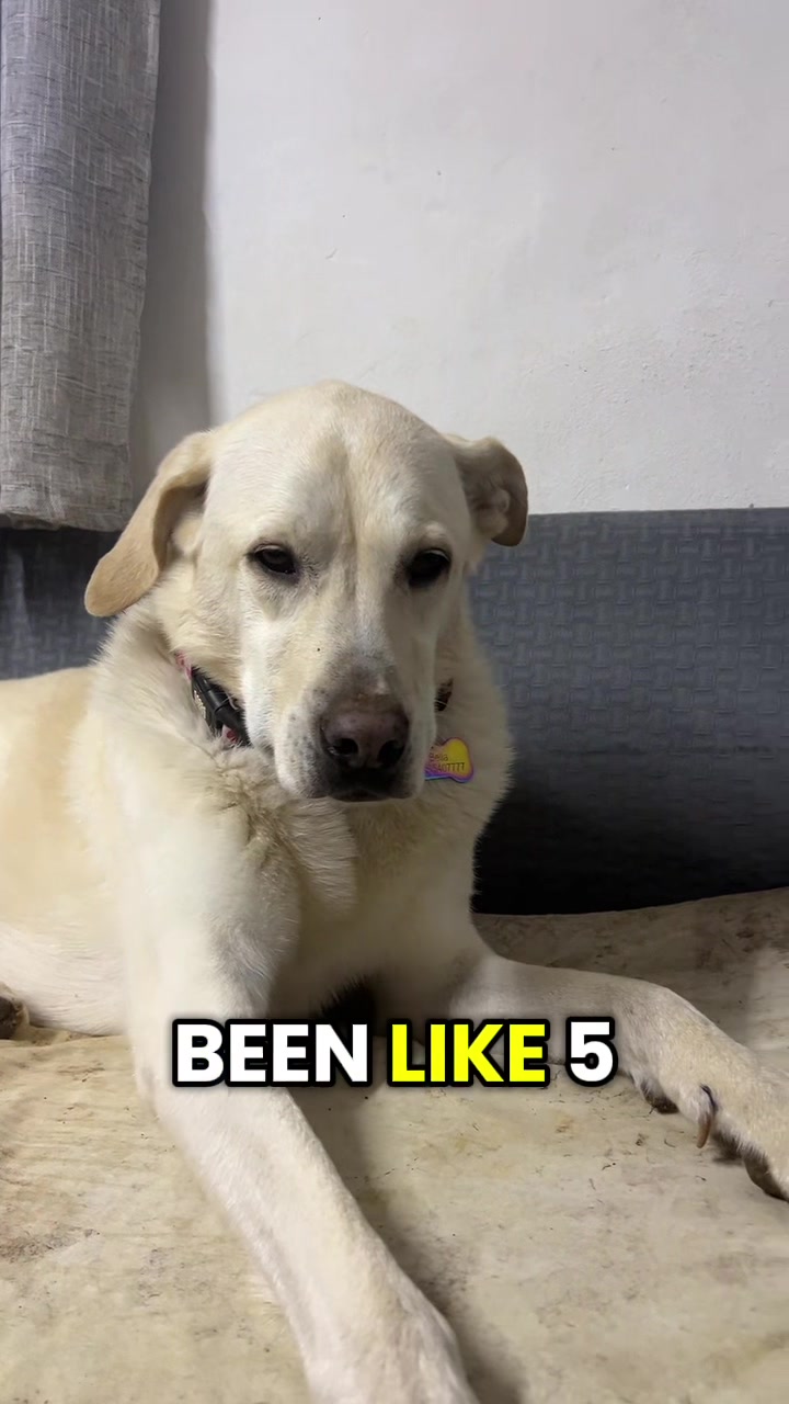 @Nala & Bella 💜