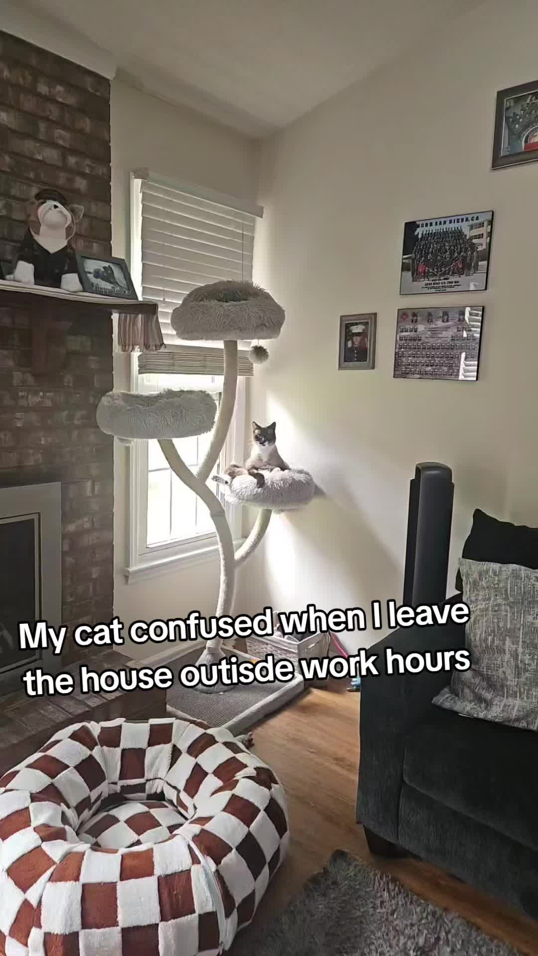 @Vader, Rocko, & Kona
