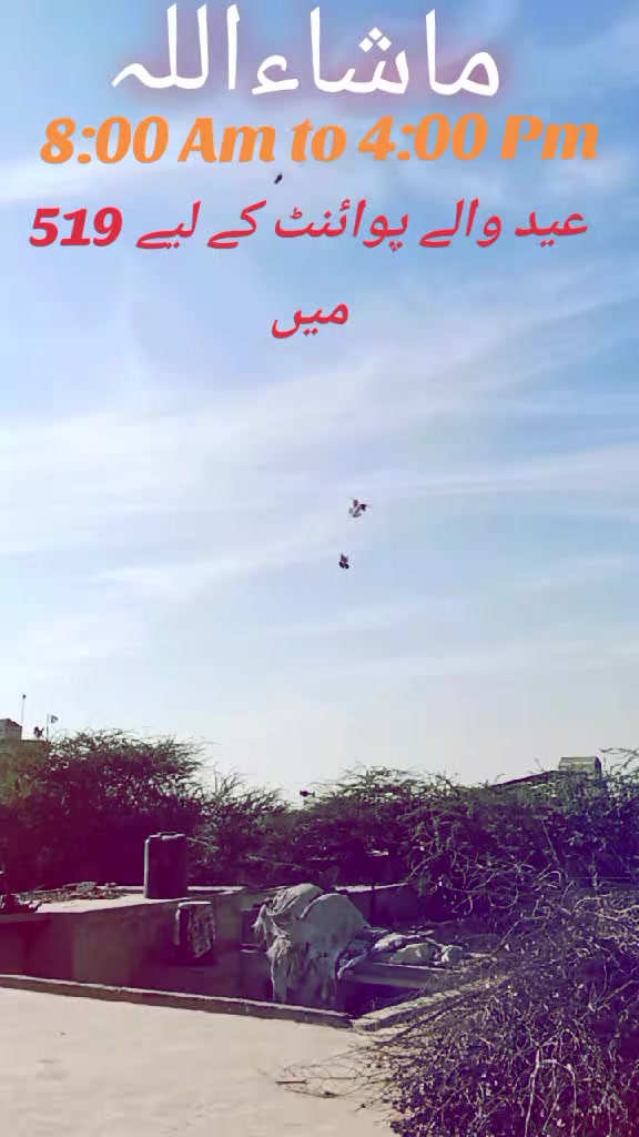 @حسن جٹ سیال