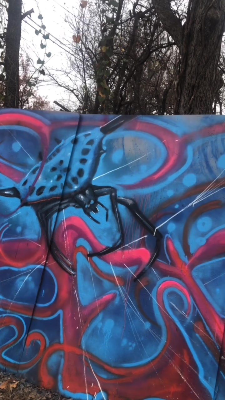 @Spider_Eyez