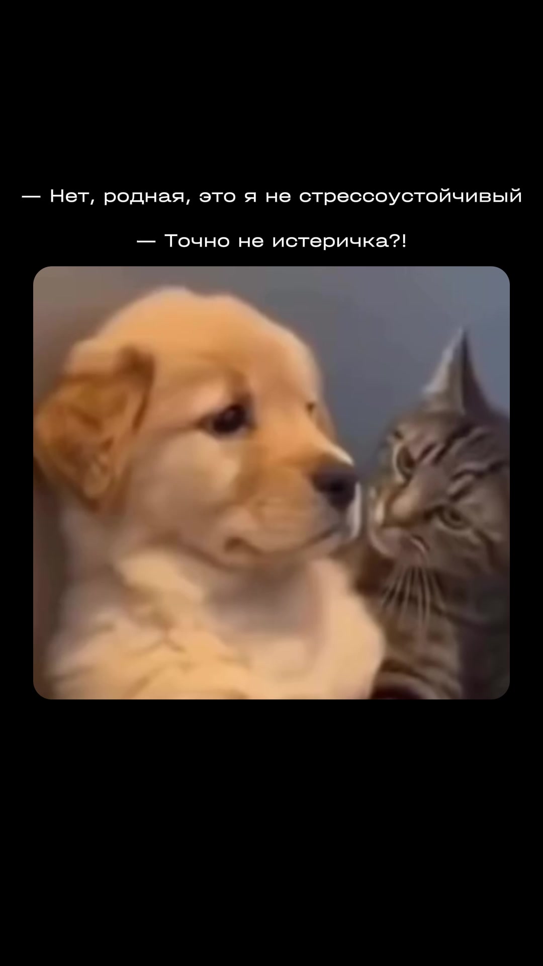 @NEMIGA