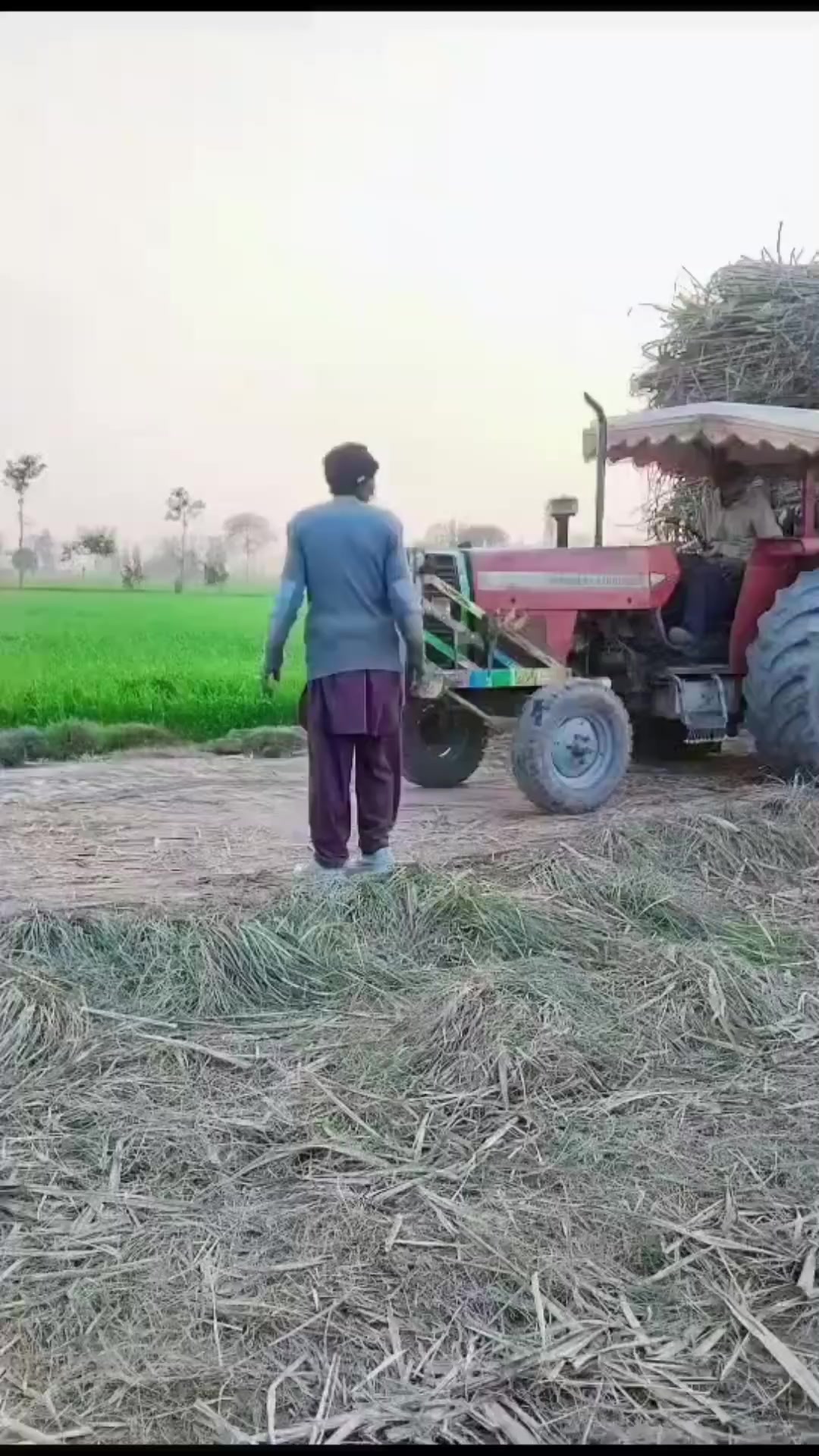 @Rai abid🗡️⚔️🇵🇰