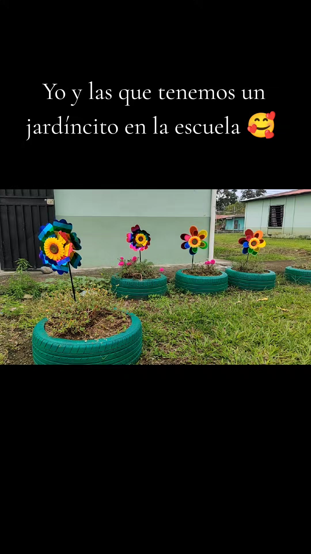 @Anto Mora 💜