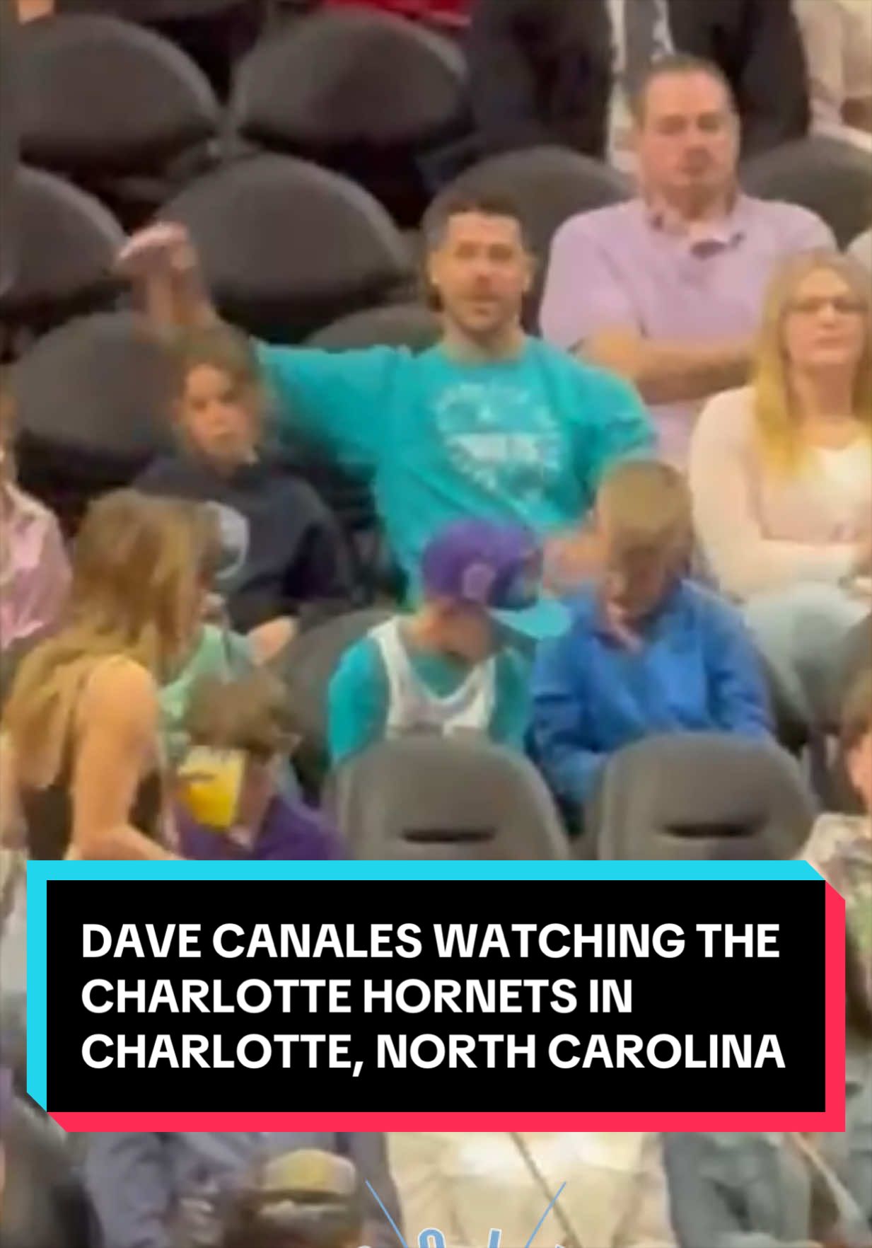 @carolinacockroach