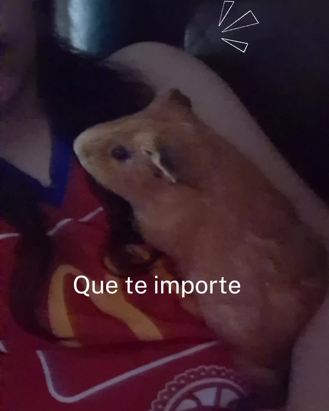@La nena boricua🇵🇷🏀💔🖕🏻