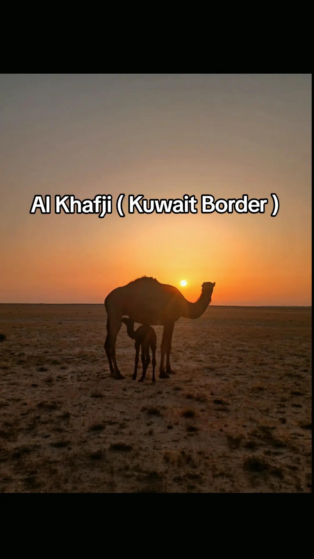 @T starTareq(Al Khafji)đ¸đĻđ§đŠ