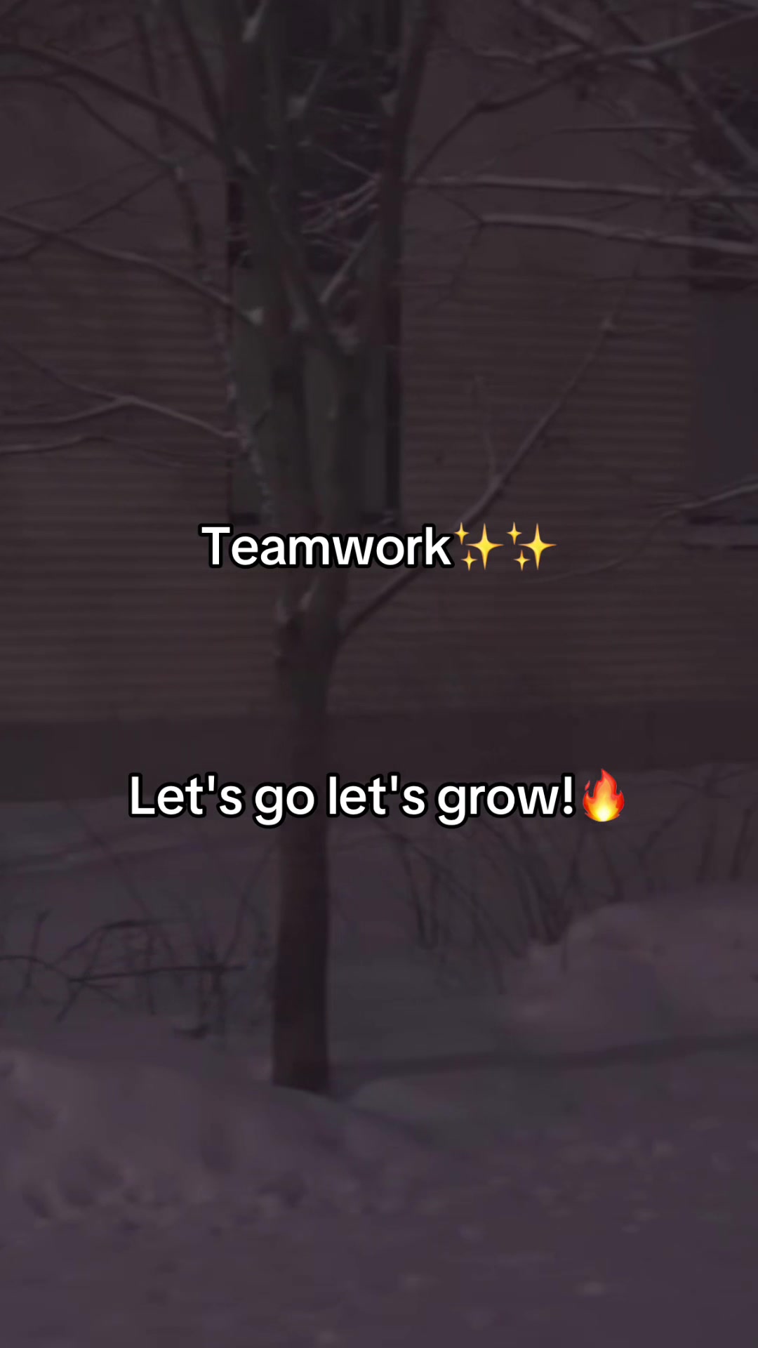 @dreamteamwork1