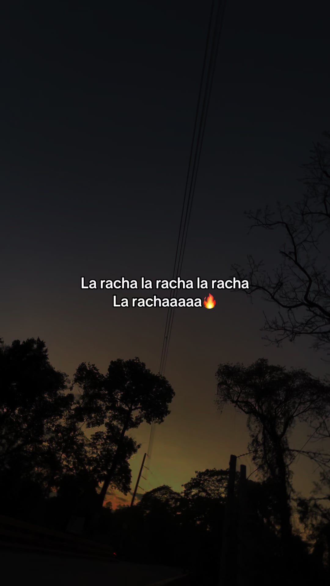 @🔥Tu rachita🔥🐝