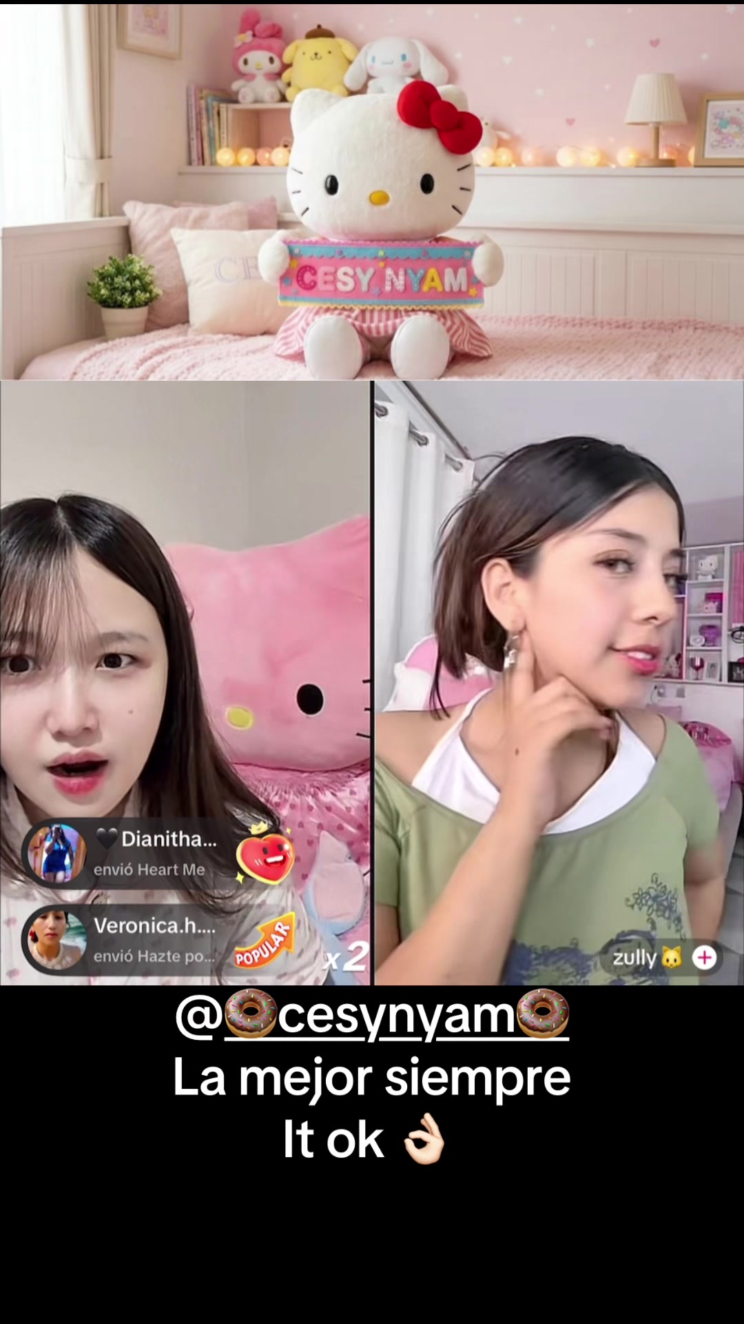 @🍩Team_ Cesy🍩👾