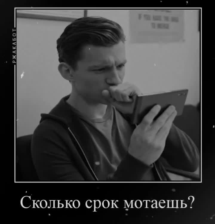 @путник🔆