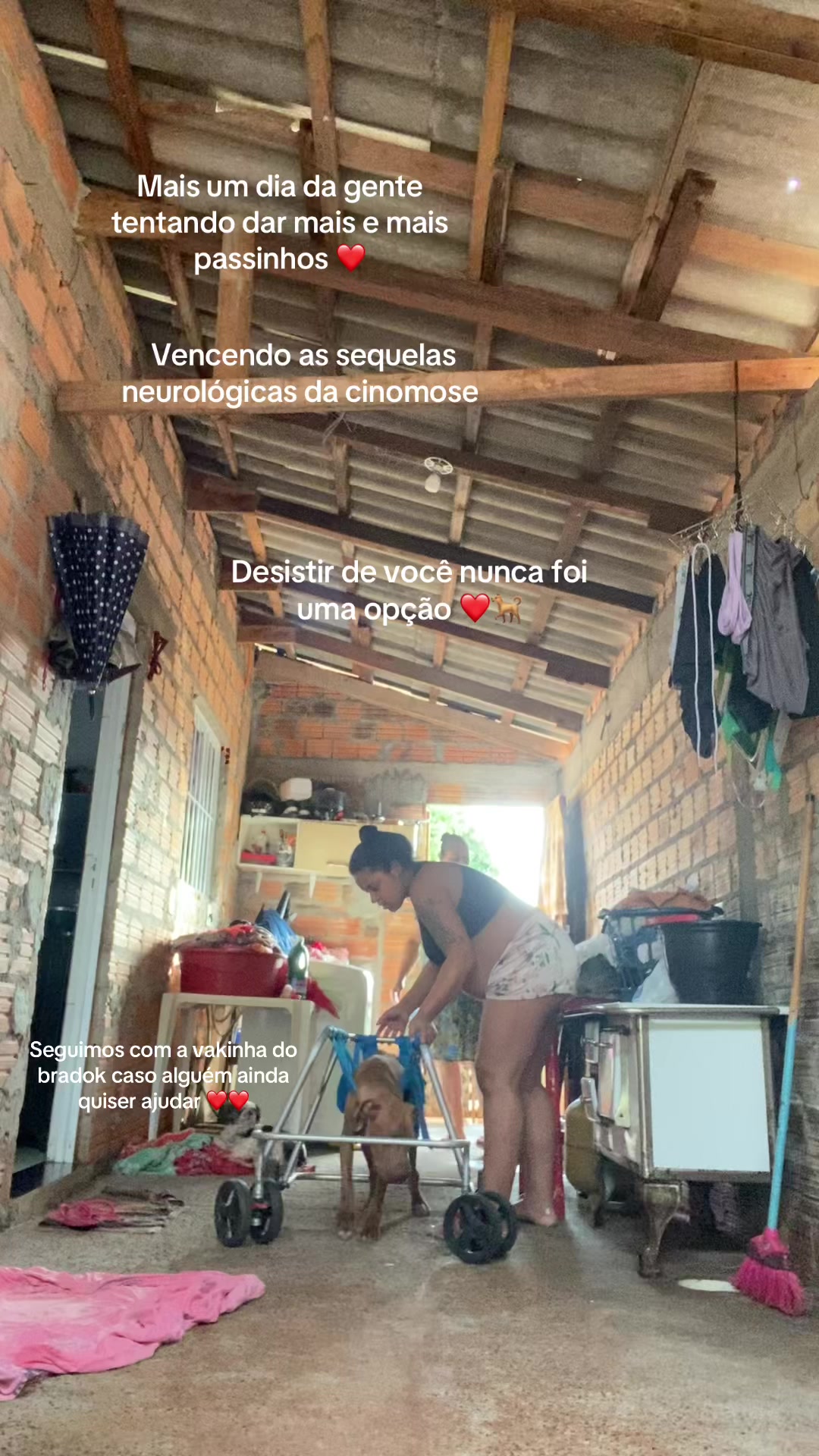 @Vict&oacute;ria Rodrigues