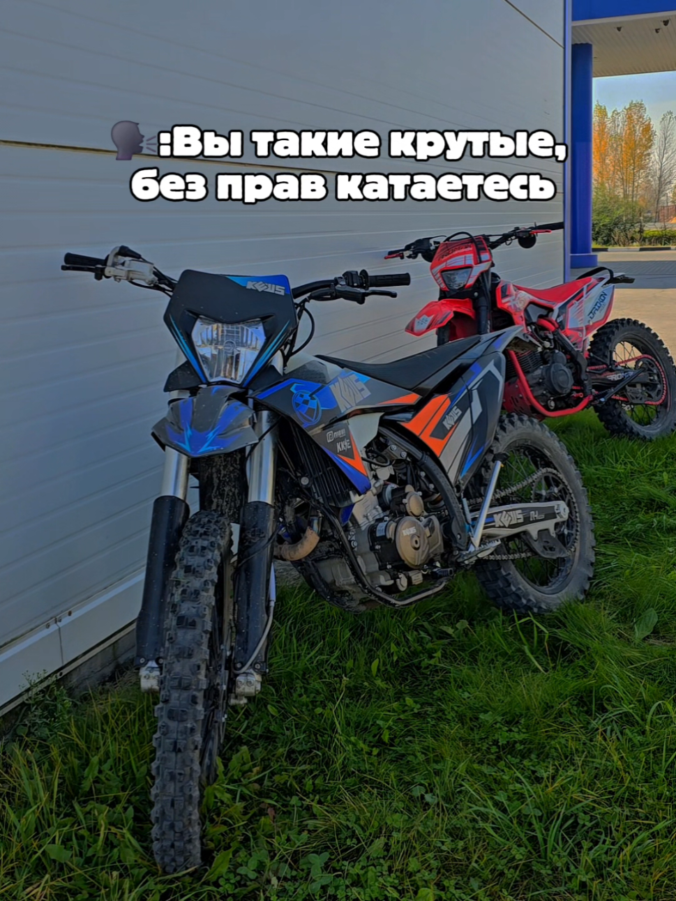 @🚧ТГК: Mud_Squad_54🚧