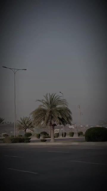 @S ⚜️Khanن&times;∆