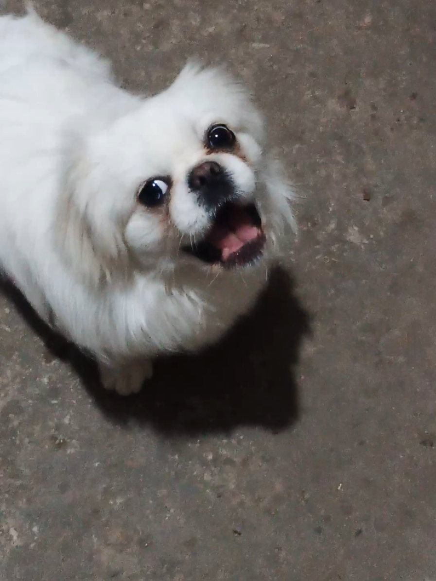 @Jacky_TikTok