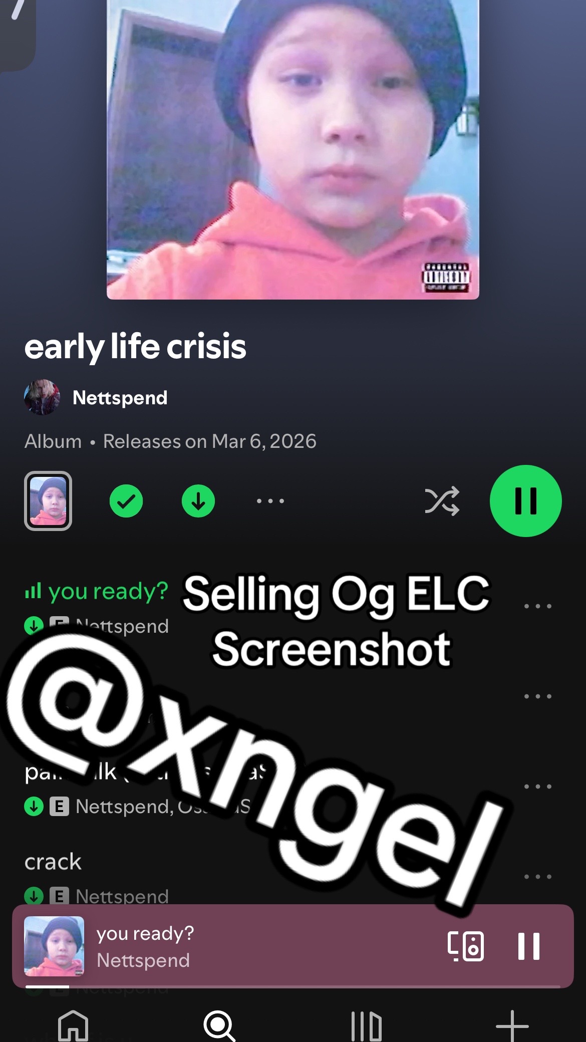 @angel