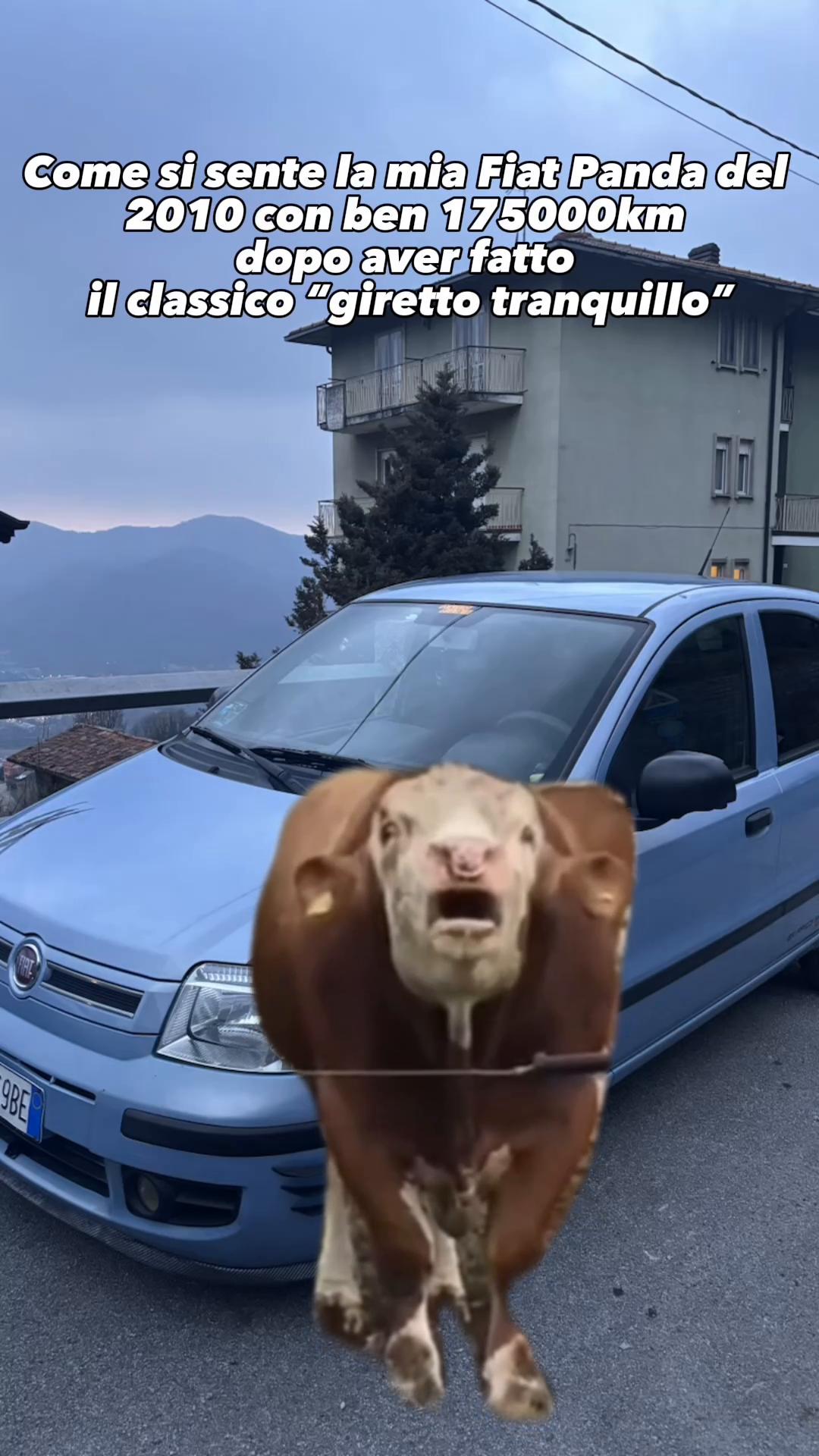 @Da.carminati