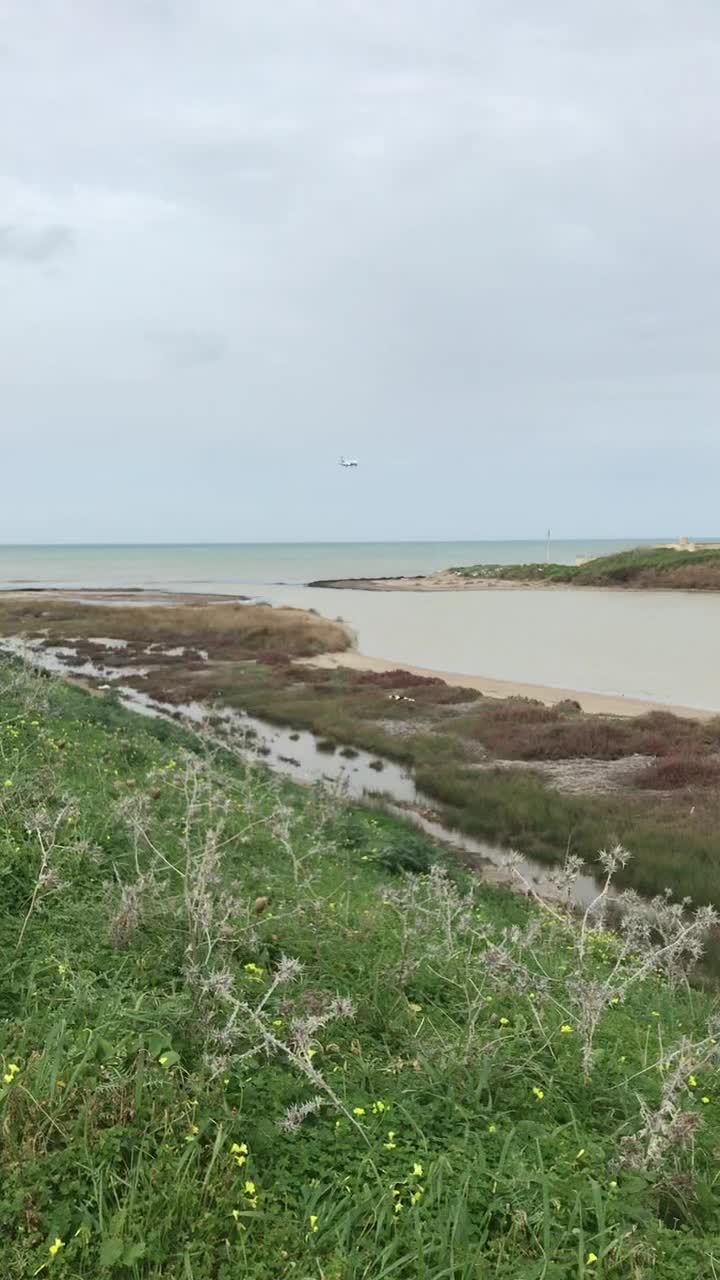 @Fabio.Sicily