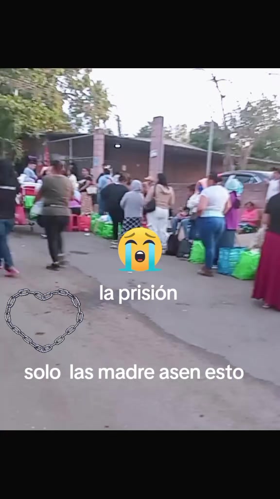 @efrain arrieta