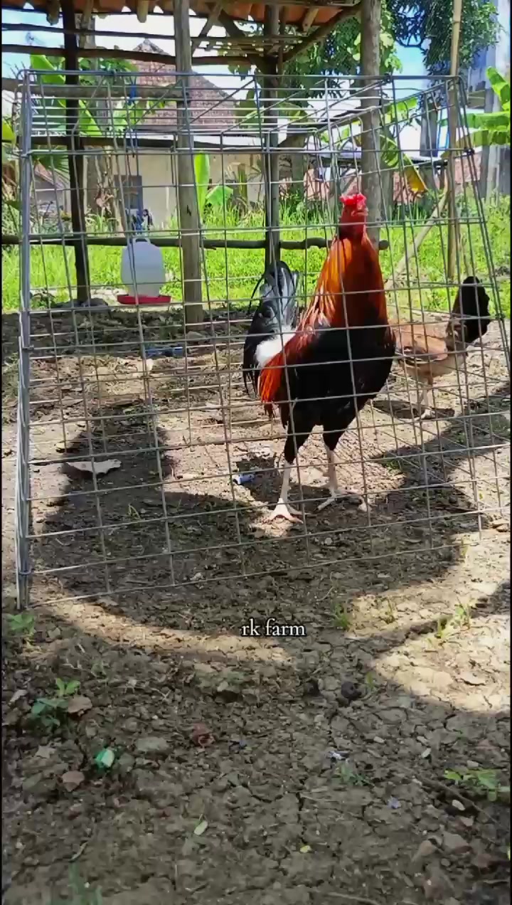 @R-K. FARM (MDR)