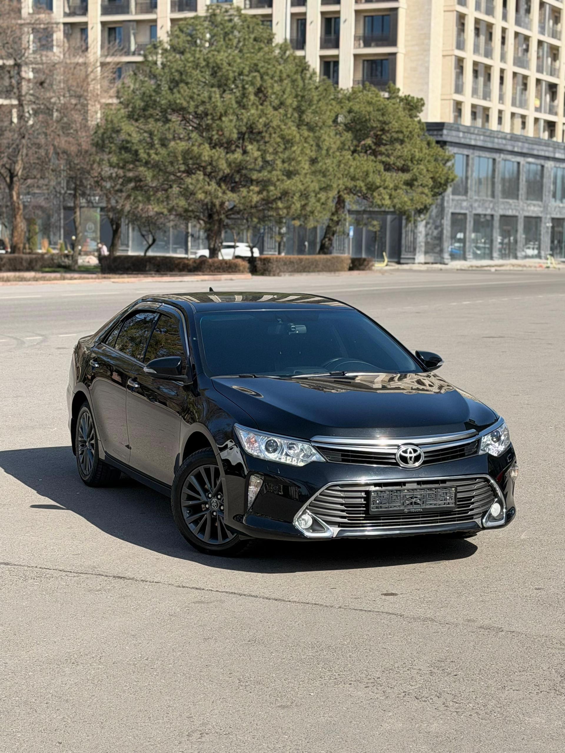 @autocode.kg