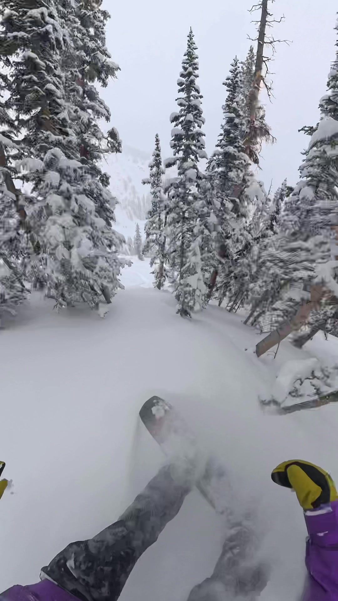@Search of Snowboarding