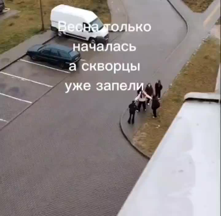 @Коля