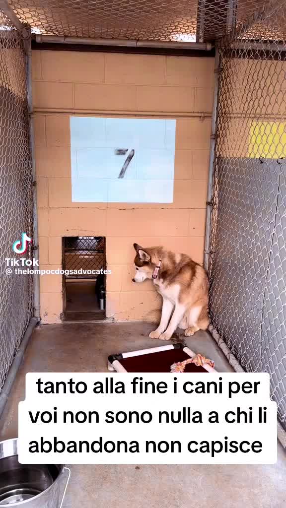@Francesco Fotia