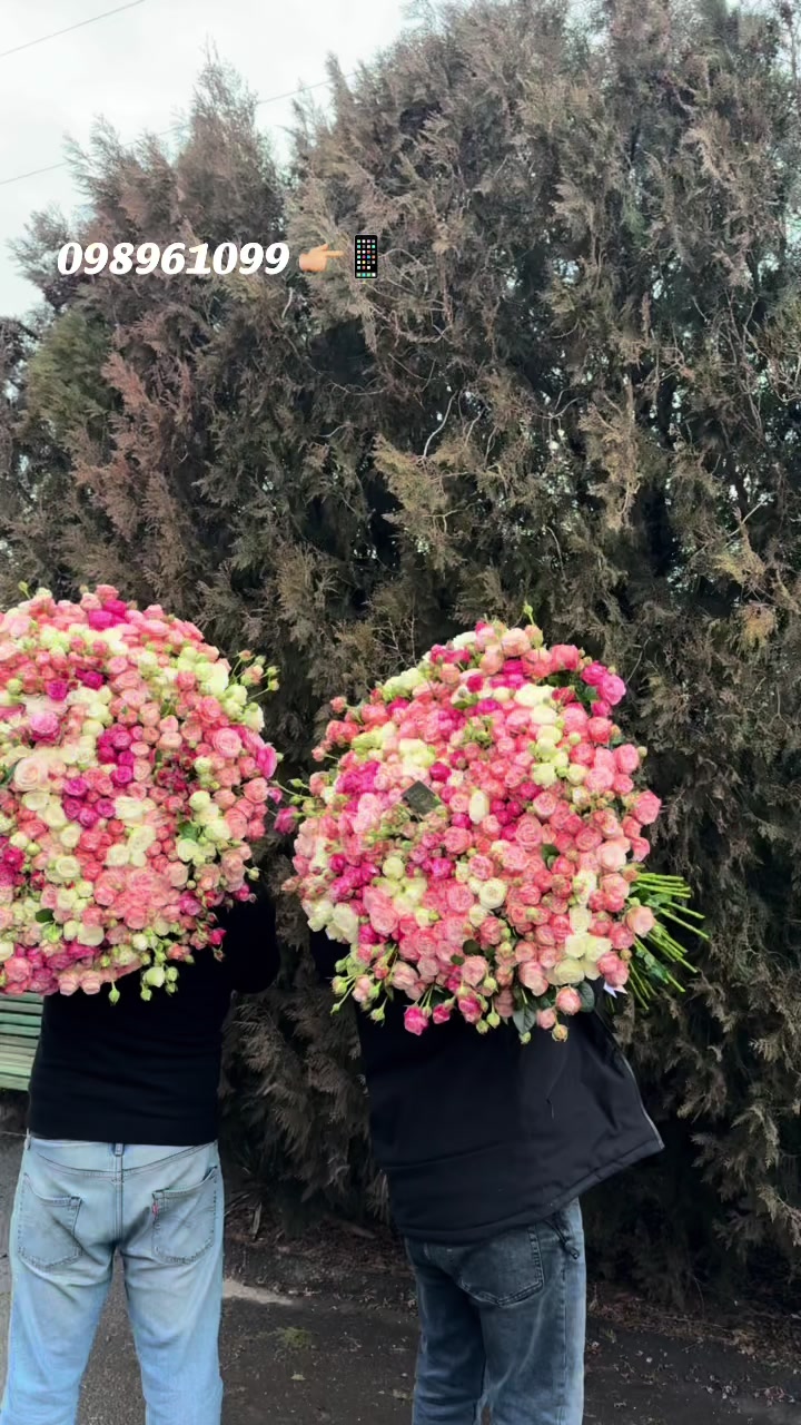 @Թարմ Վարդեր 🌹