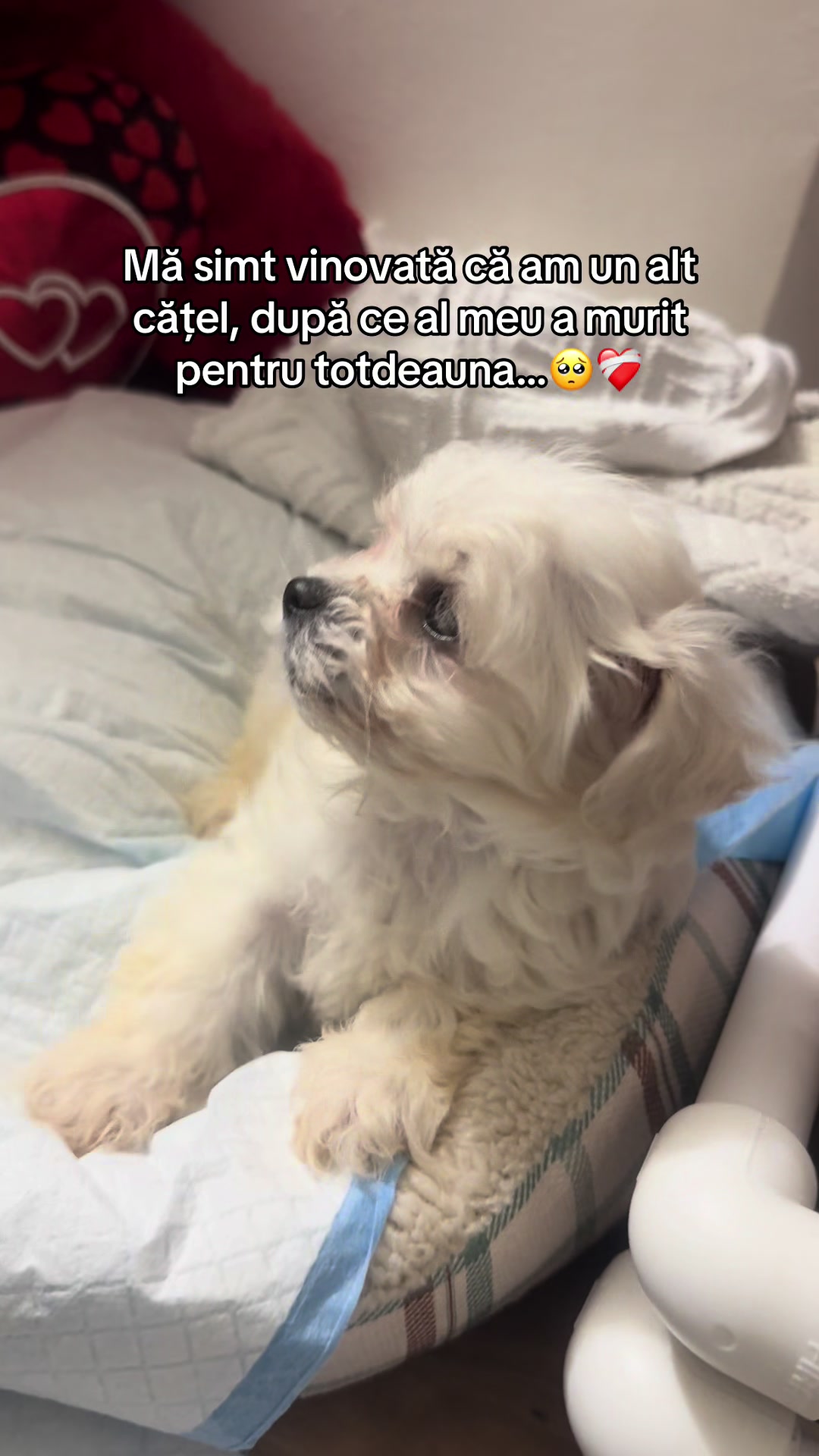 @maria_ecaterina