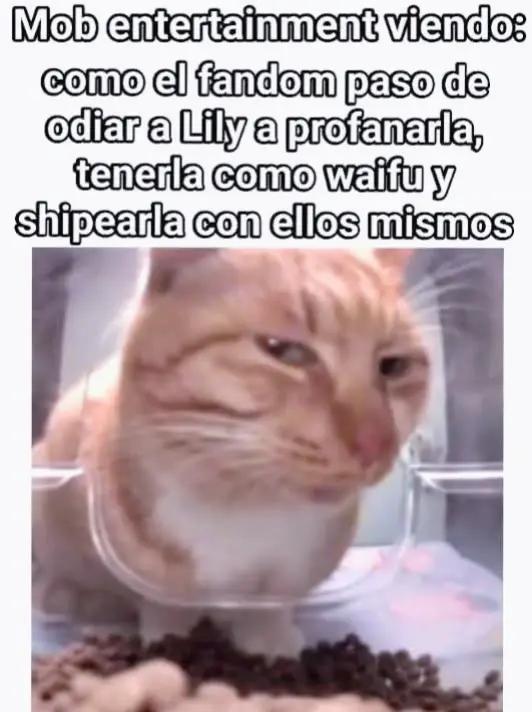 @Danipro Garcia