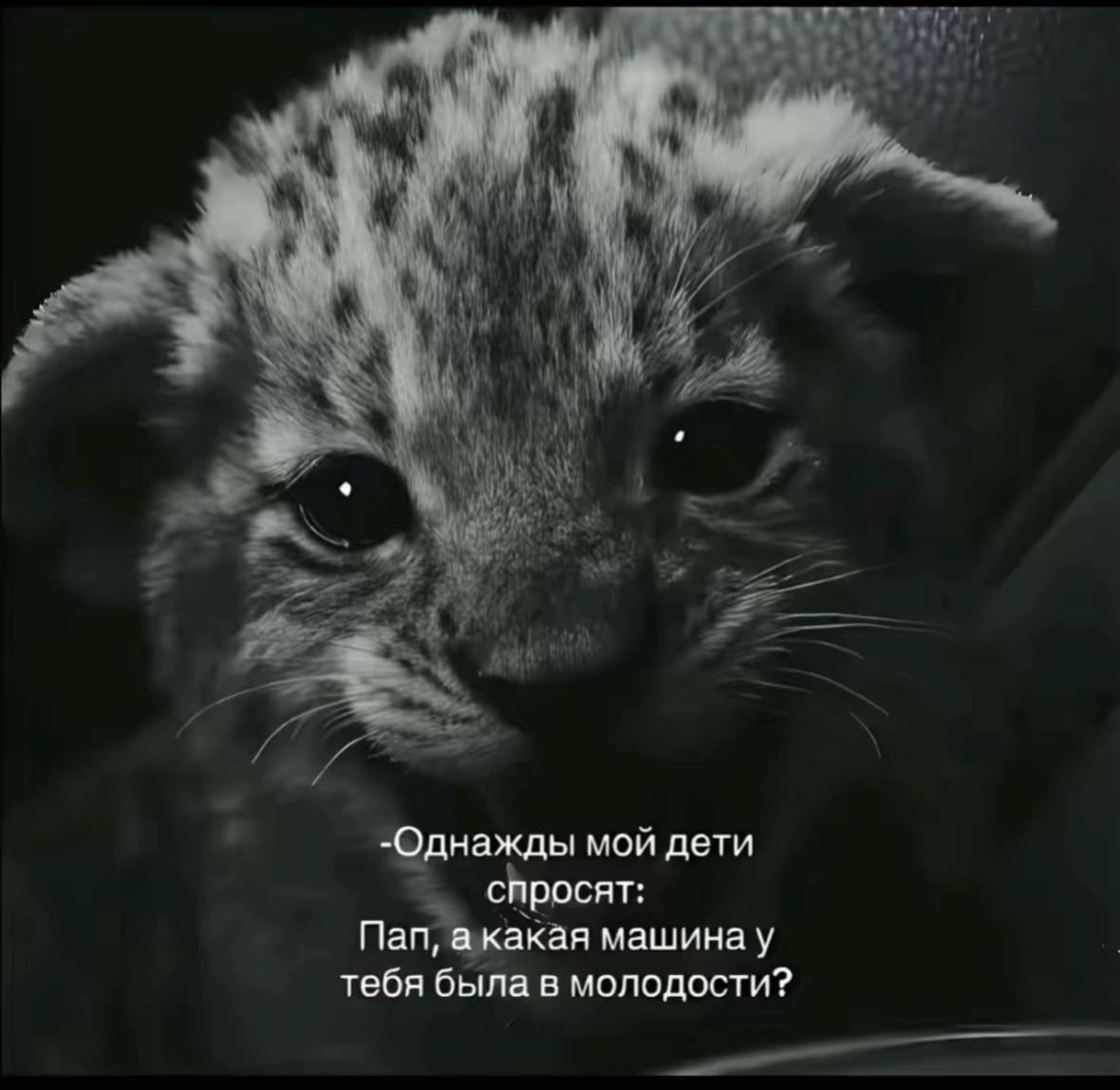 @Канатов606