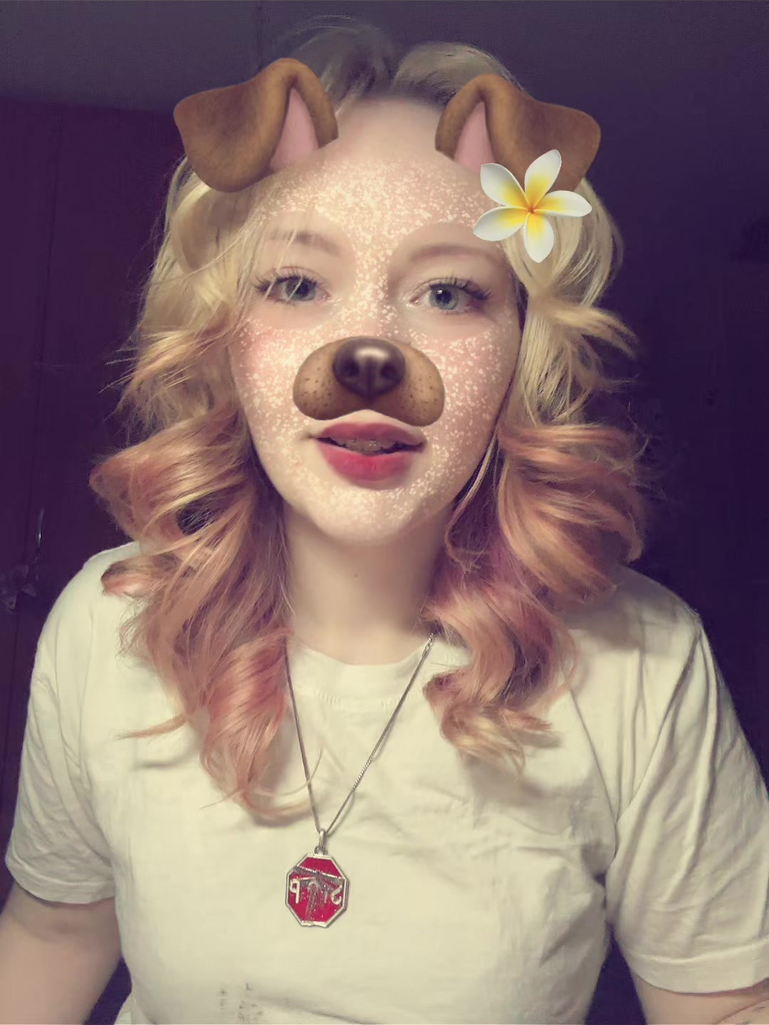 @⭒ ֶ๋࣭˖࣪ ⋆𝓴𝓲𝓽𝓽𝔂 ⋆˖࣪ ๋࣭⭒