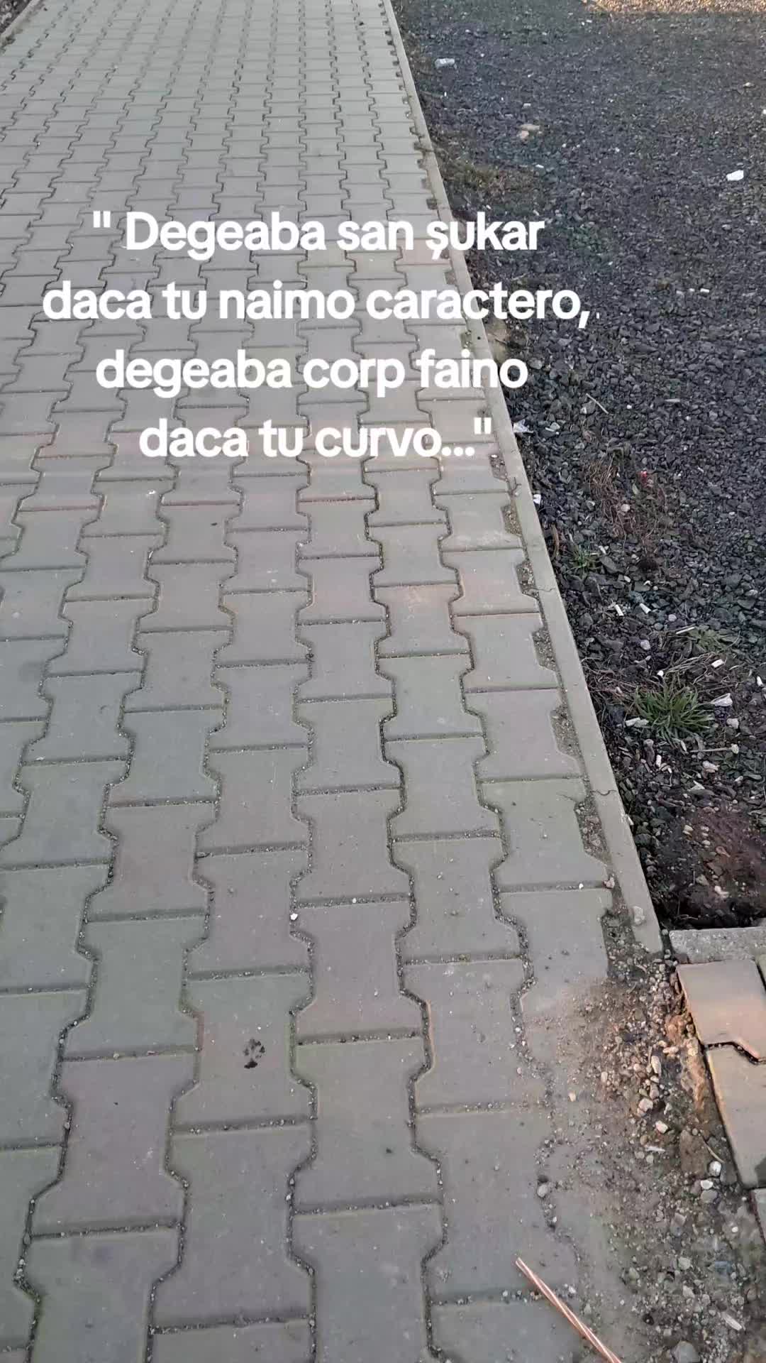 @fp_albert_nbn