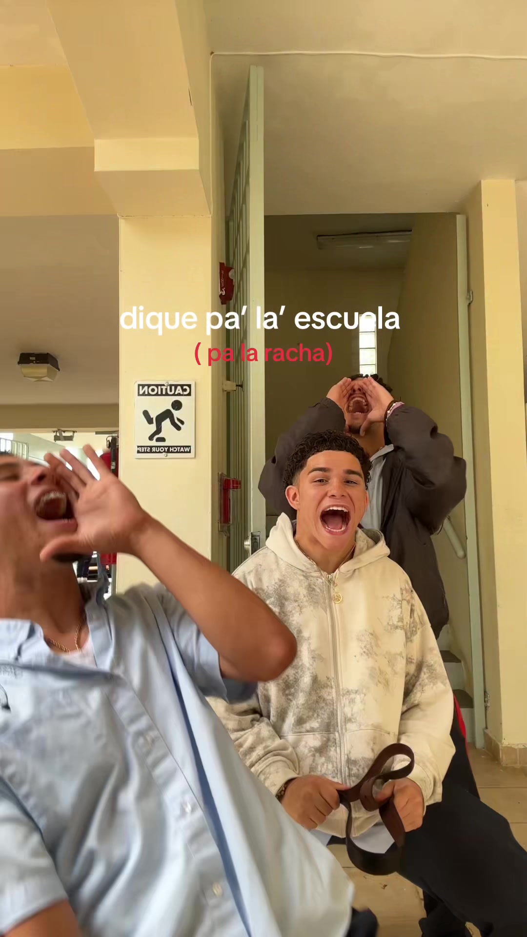 @culifachuris