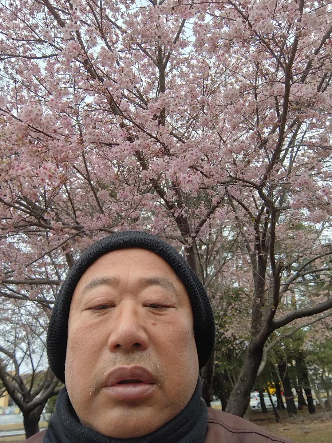 @木村勝徳