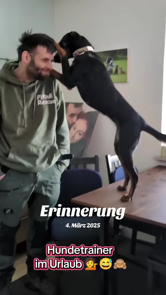 @hundumgluecklichx4
