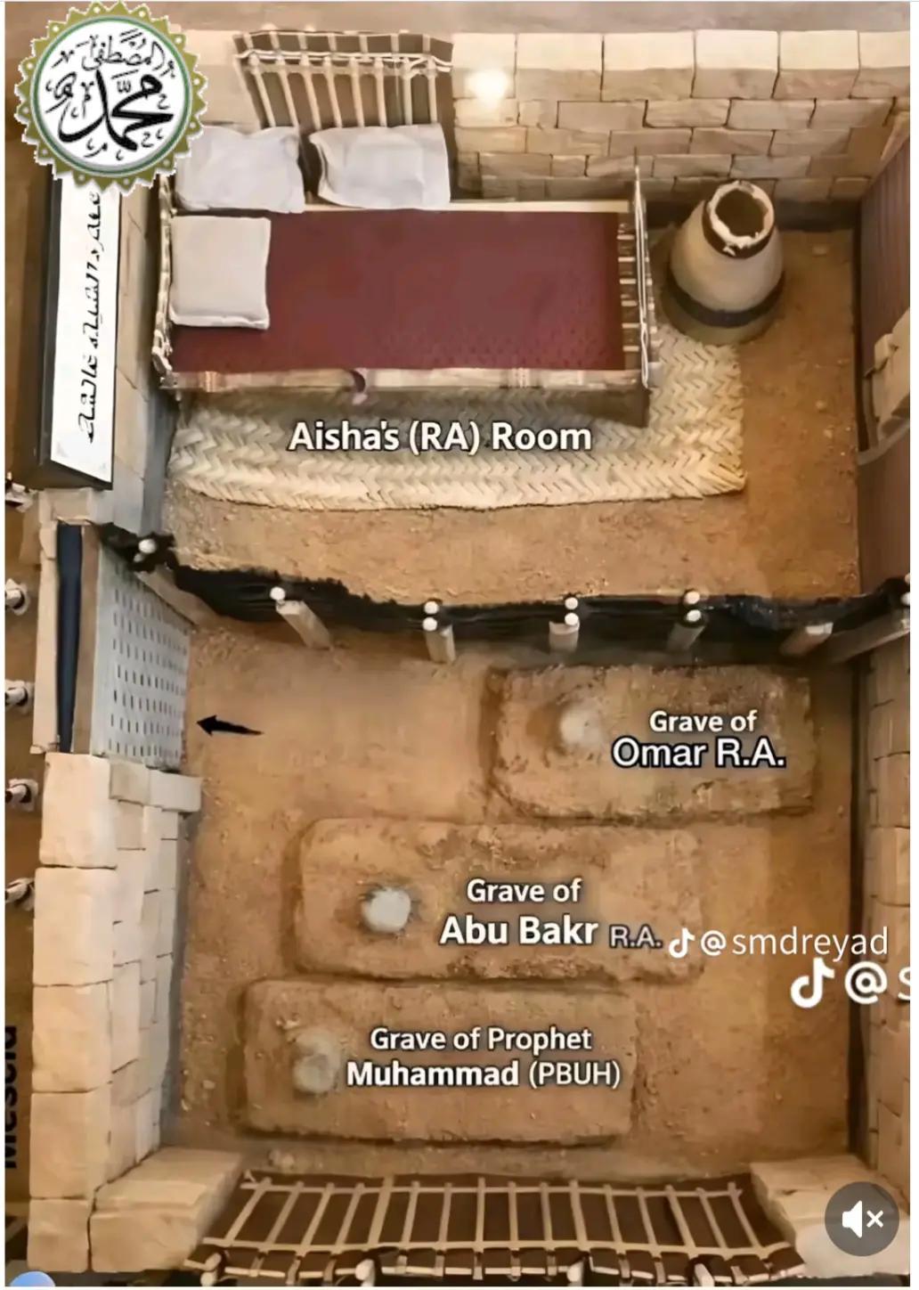 @T starTareq(Al Khafji)đ¸đĻđ§đŠ