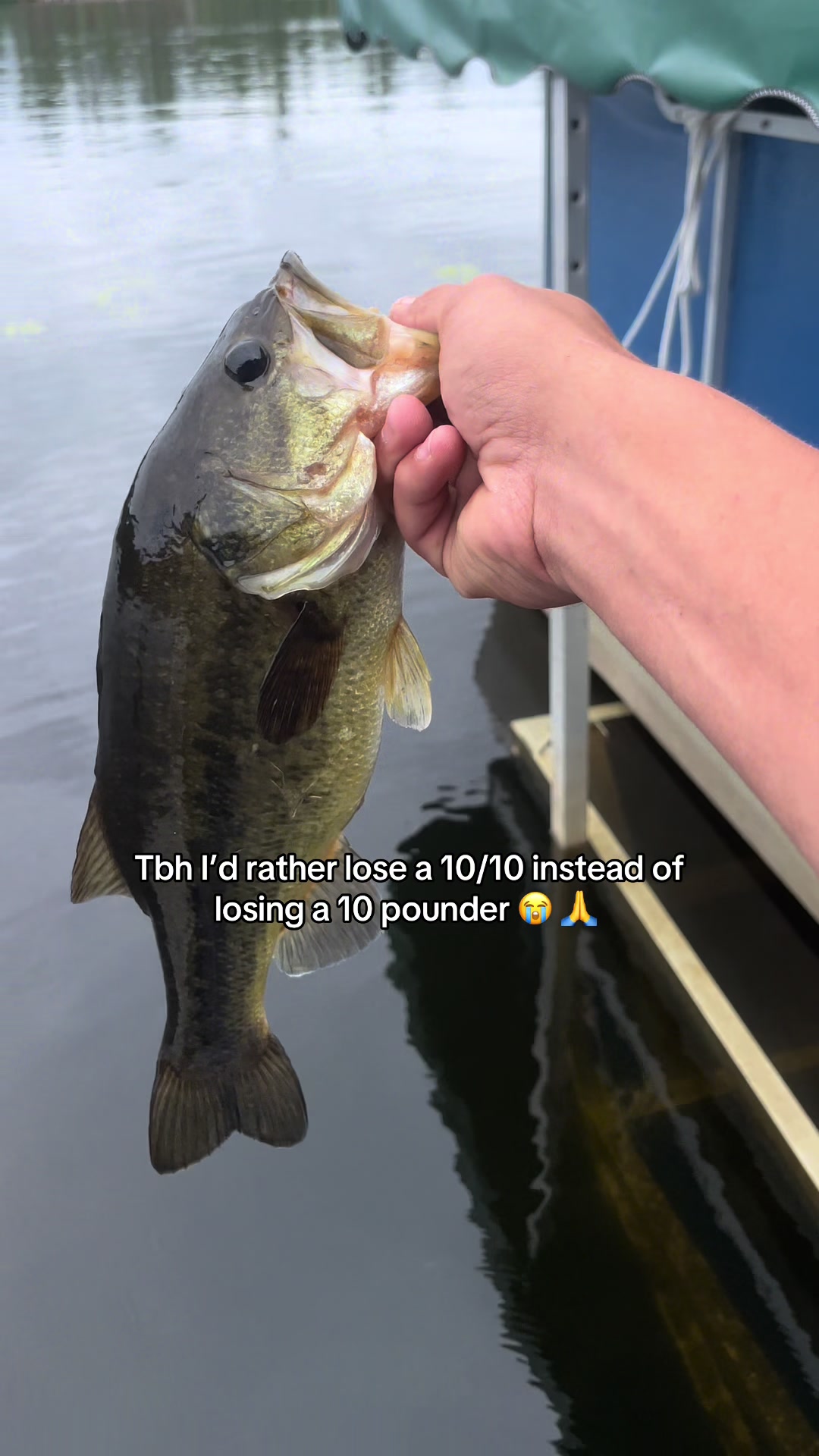 @218 fishing